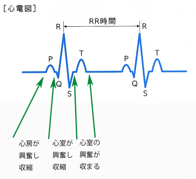 心臓